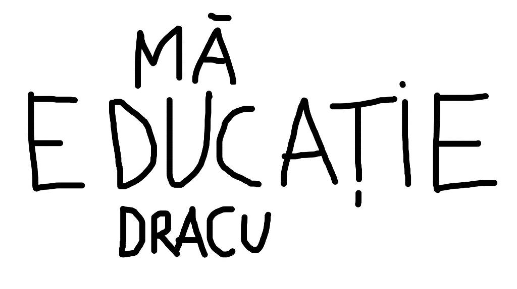 dan perjovschi educatie 2
