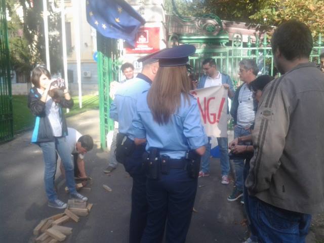 padurile plang 5